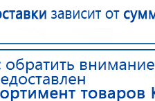 СКЭНАР-1-НТ (исполнение 01 VO) Скэнар Мастер купить в Балашихе, Аппараты Скэнар купить в Балашихе, Дэнас официальный сайт denasdoctor.ru